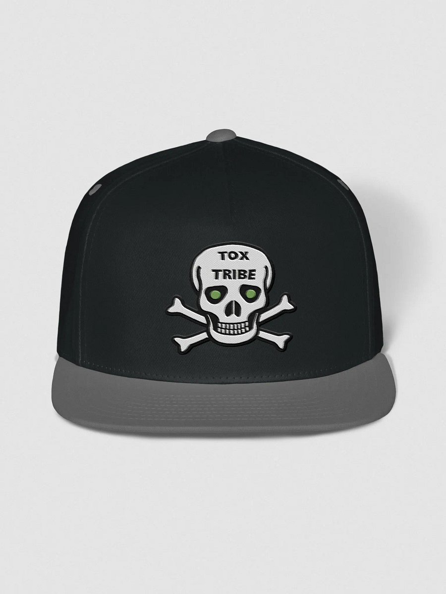 Toxic Skull Snap-Back Hat product image (1)