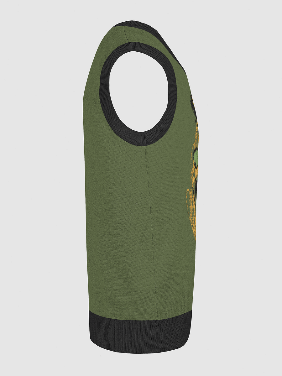 Elevate Your Style with Customizable Knit V-Neck Vest product image (22)