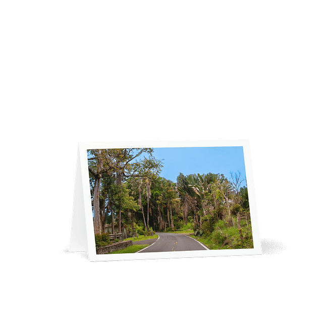 Photo Greeting Cards