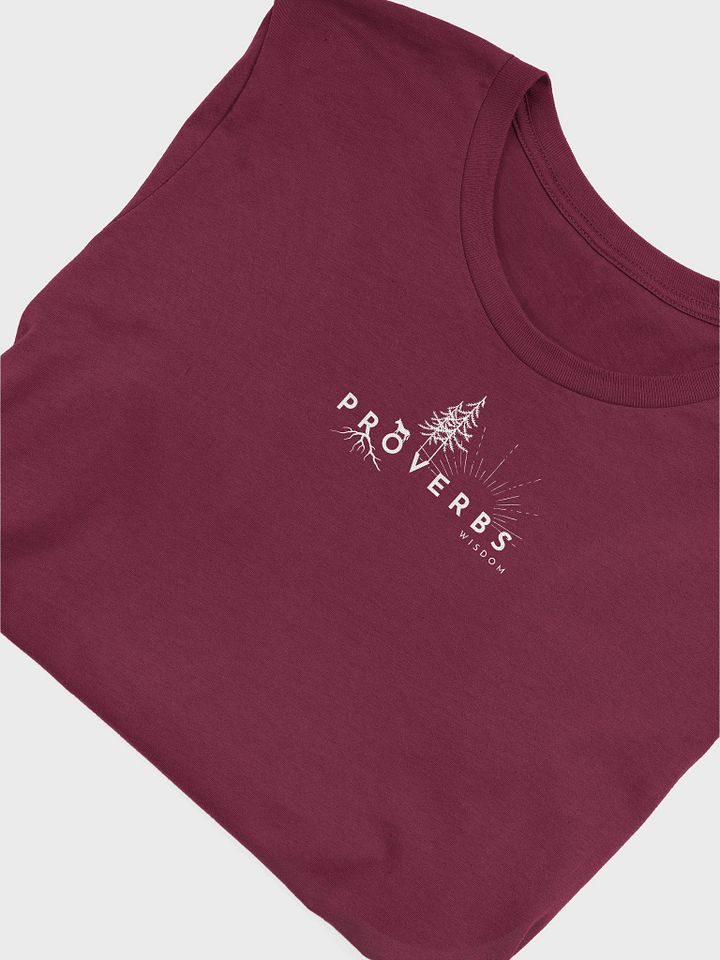 Proverbs Wisdom Printed Bella-Tee product image (6)