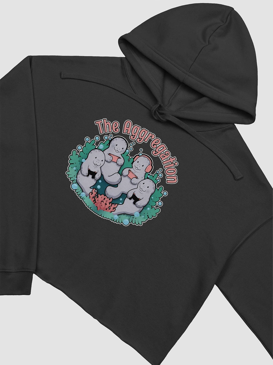 The Aggregation Cropped hoodie product image (12)