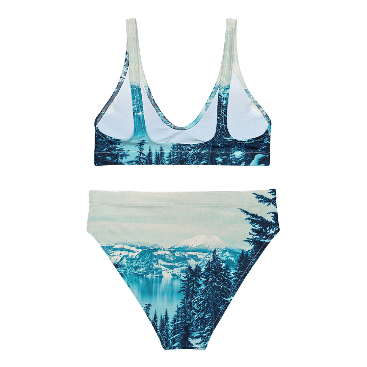 Lomography Purple Recycled High Waisted Bikini product image (2)
