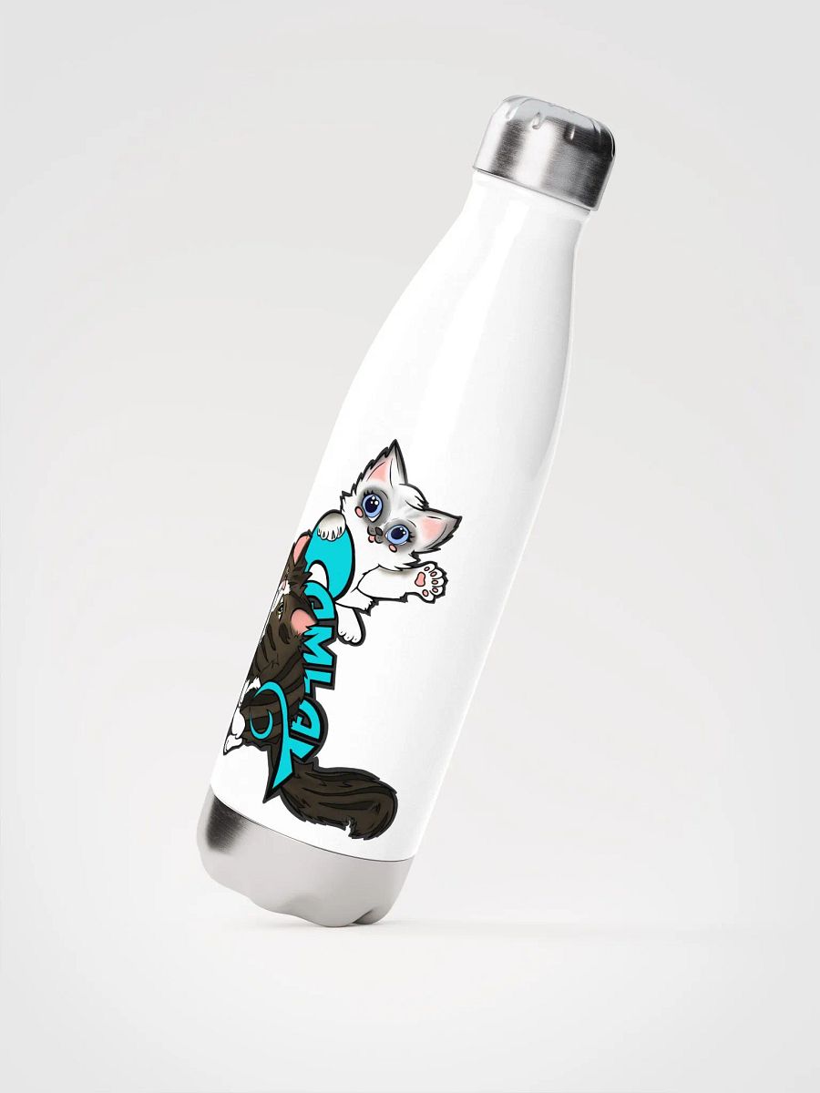 Stainless Steel Water Bottle product image (8)