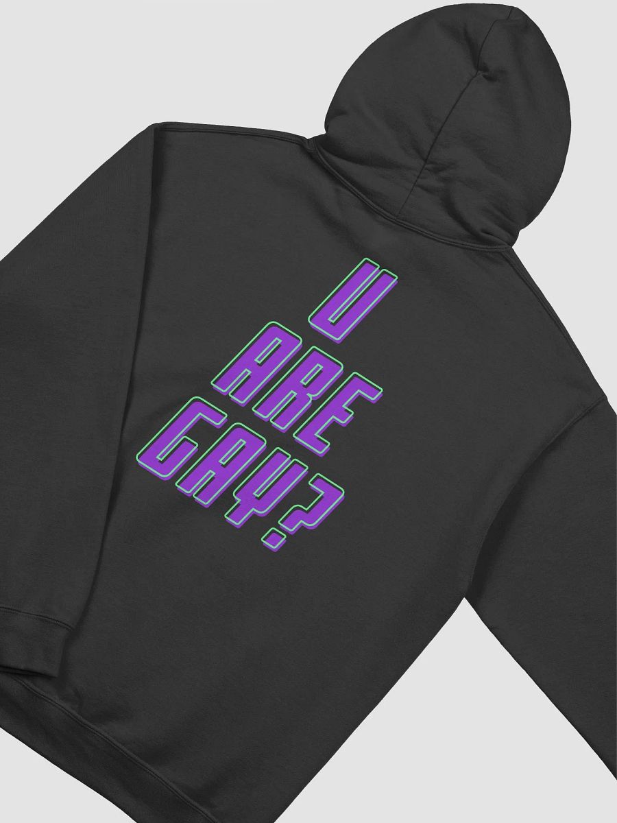 u are gay? hoodie product image (18)