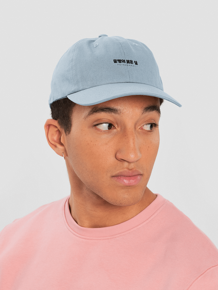 TRTOF Dad Hat product image (24)