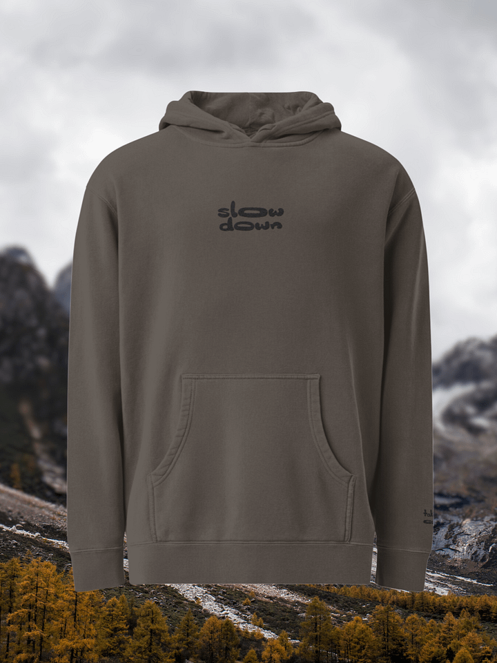 Charcoal Embroidered 'Slow Down' Pigment-Dyed Hoodie product image (1)