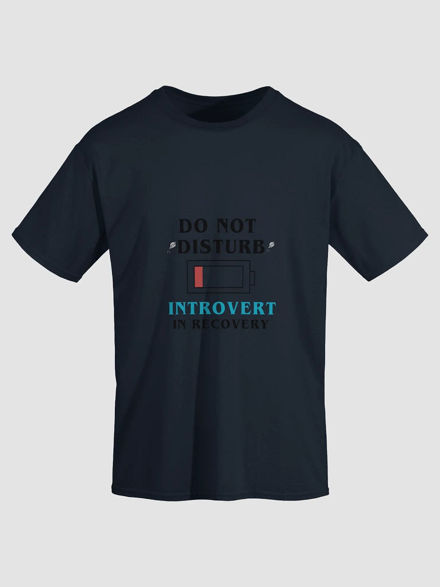 Do Not Disturb: Introvert in Recovery Shirt product image (13)
