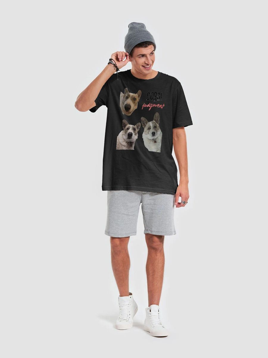 Corgi judgment product image (48)