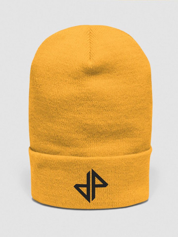 DP Logo Beanie (Black) product image (1)
