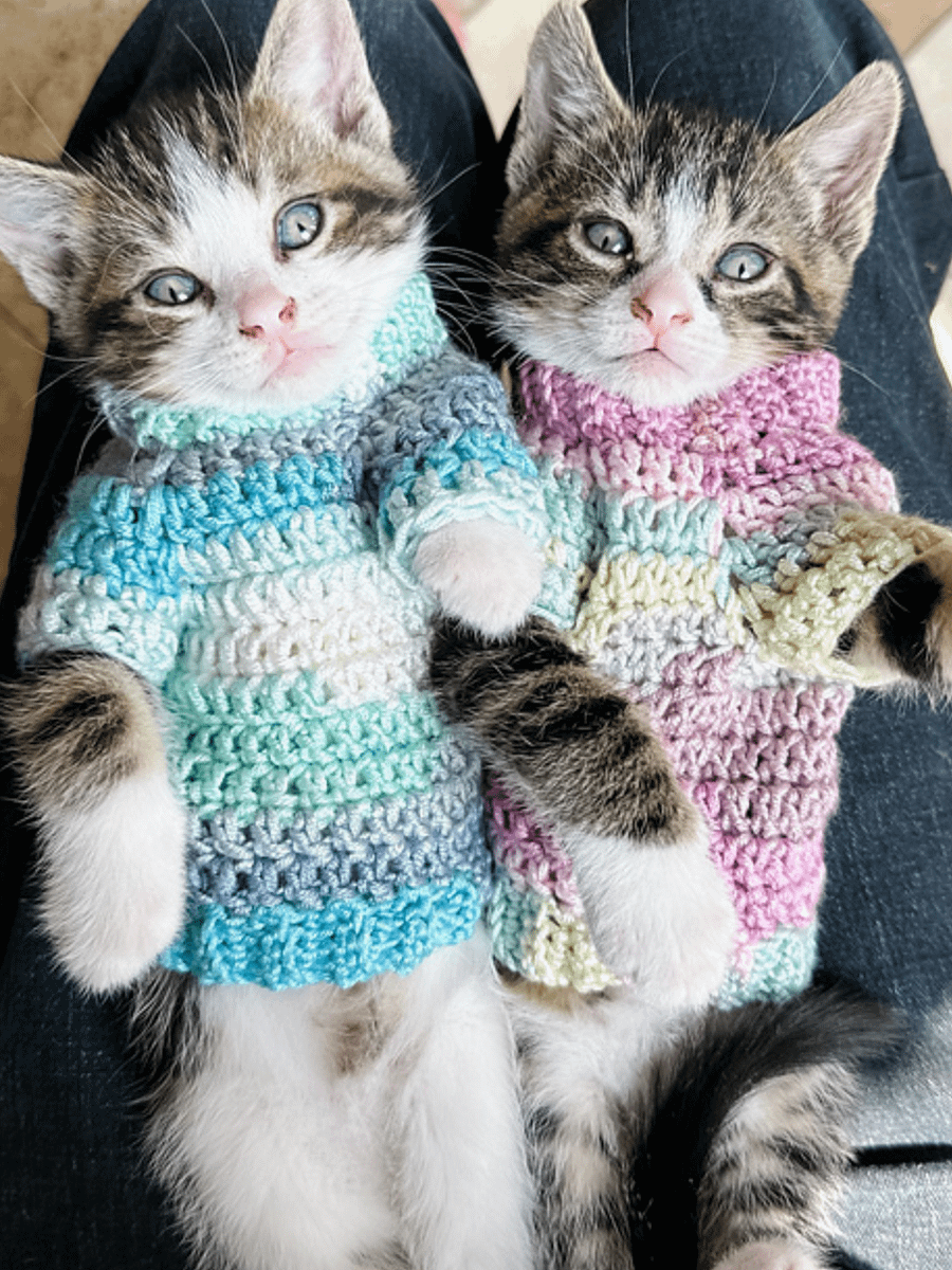Kitty Pop Pullover Crochet Pattern product image (4)