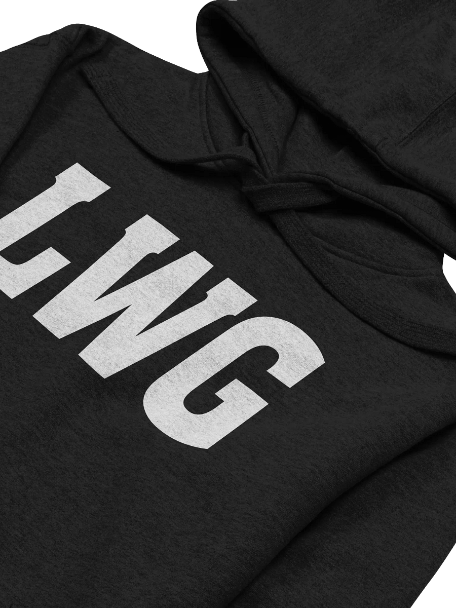 LWG Bold Unisex Hoodie product image (14)