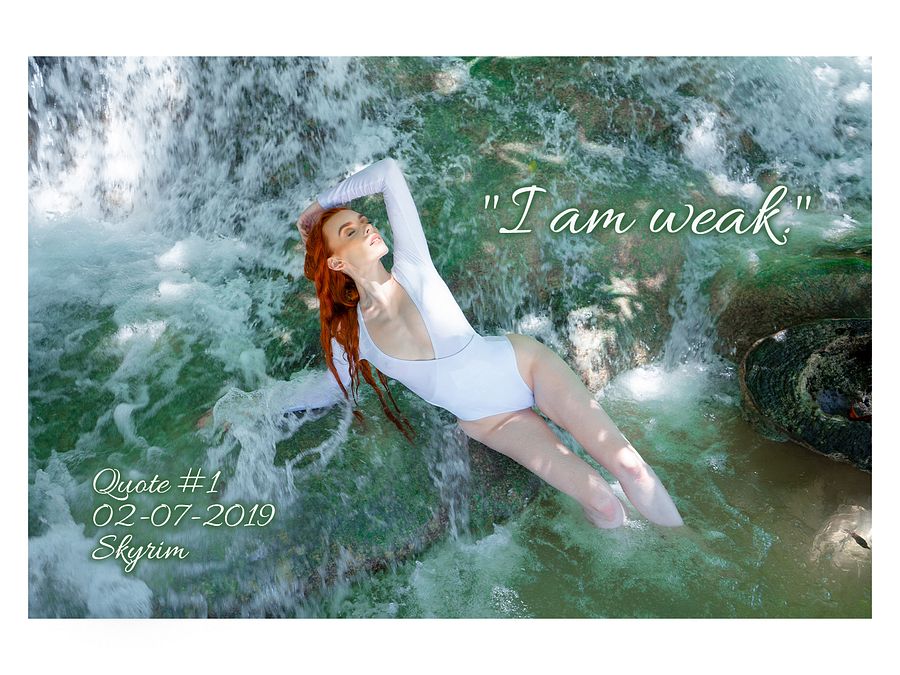 Twitchaversary Quote Book - Digital Edition! product image (1)