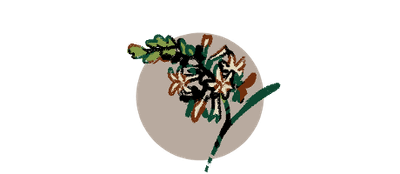 Tuberose