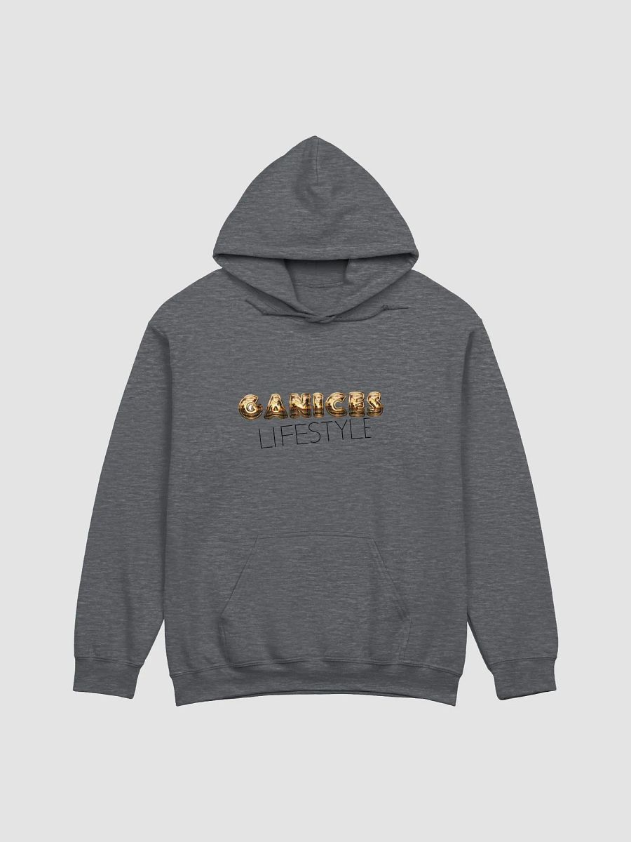 Ganice's Lifestyle: Icon Hoodie product image (5)