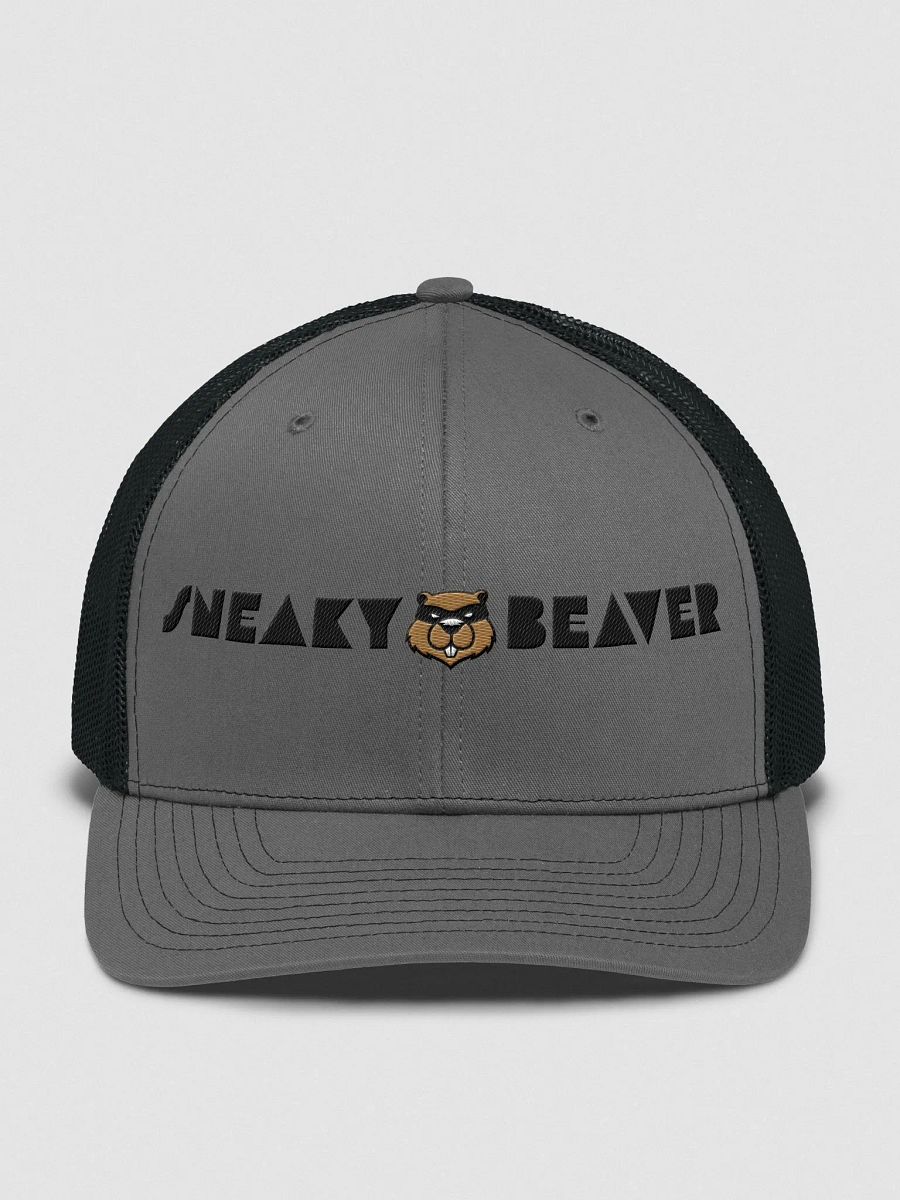 Sneaky Trucker embroidered cap product image (2)