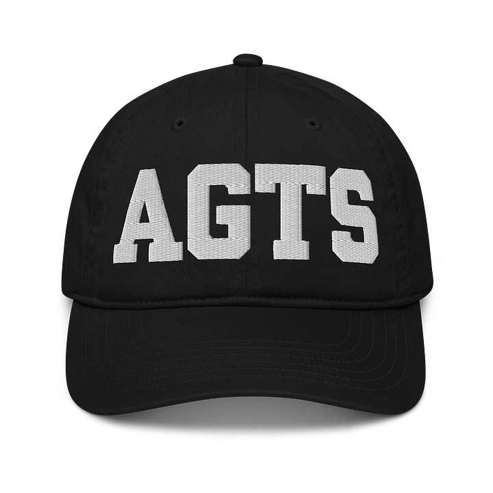 AGTS Organic Dad Hat by Econscious product image (1)