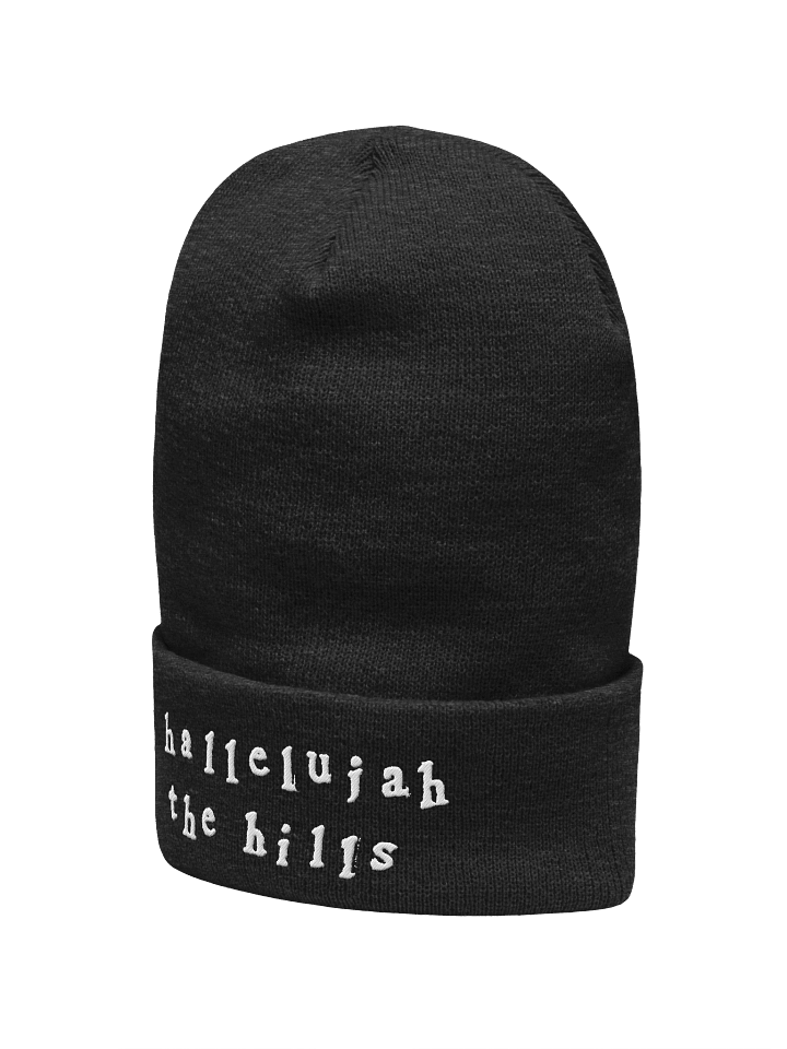 HTH Classic Logo Beanie Hat product image (2)