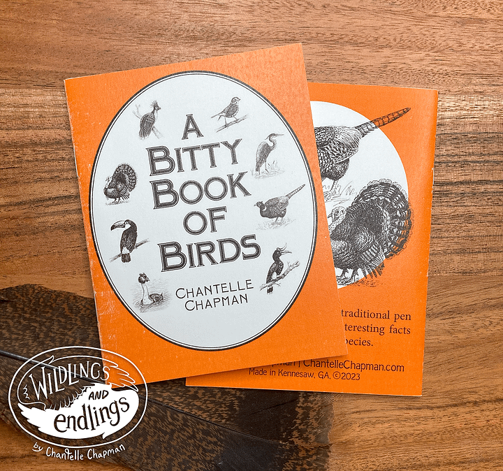 'A Bitty Book of Birds' Handmade Book, with Traditional Pen & Ink Illustrations product image (1)