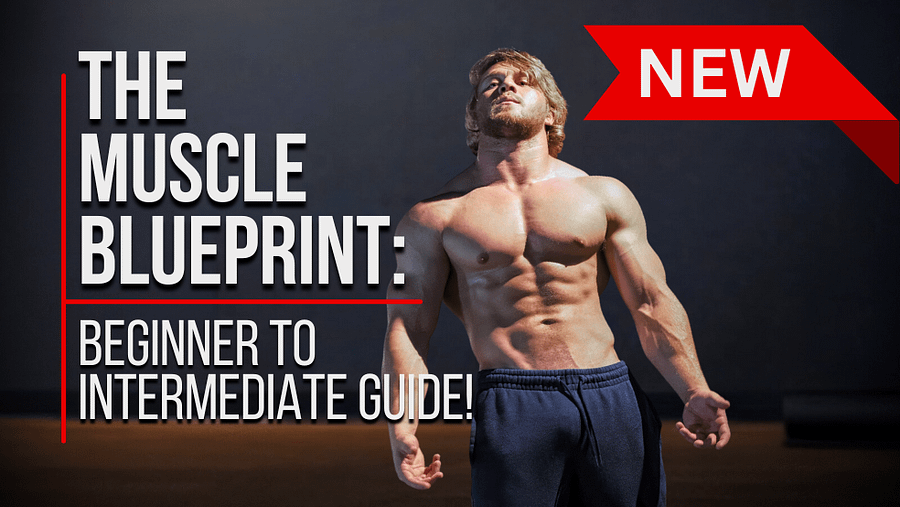 The Muscle Building BluePrint: Beginner To Advance Guide! product image (2)