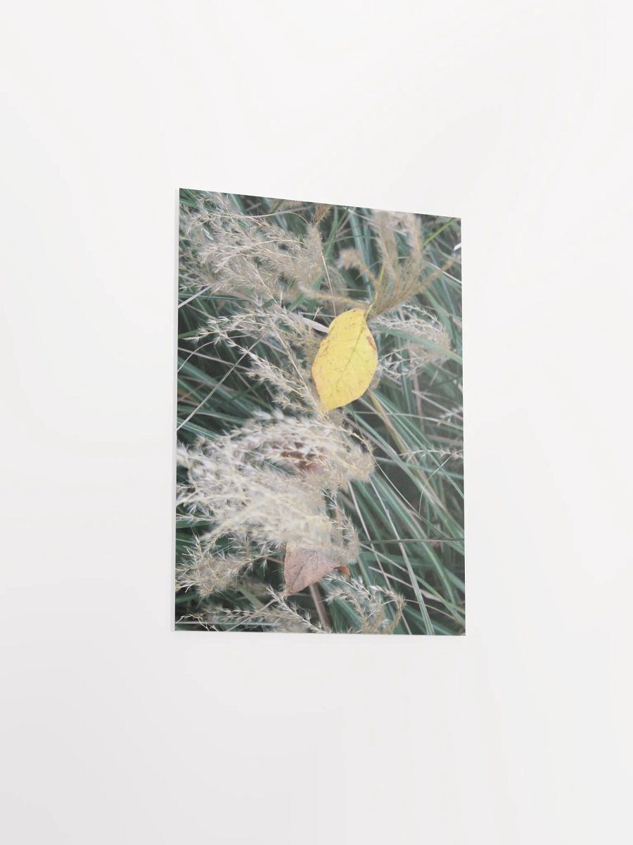 A Study in Flowers 11 product image (29)