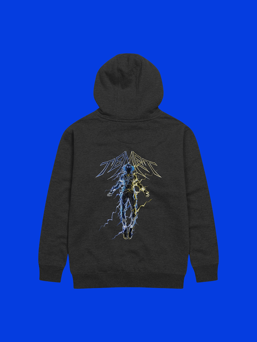 temet hoodie product image (2)