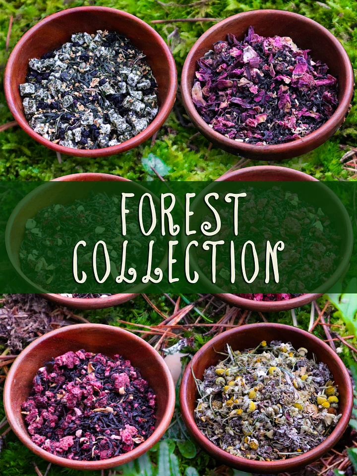 Forest Collection Teas and Infusions product image (1)