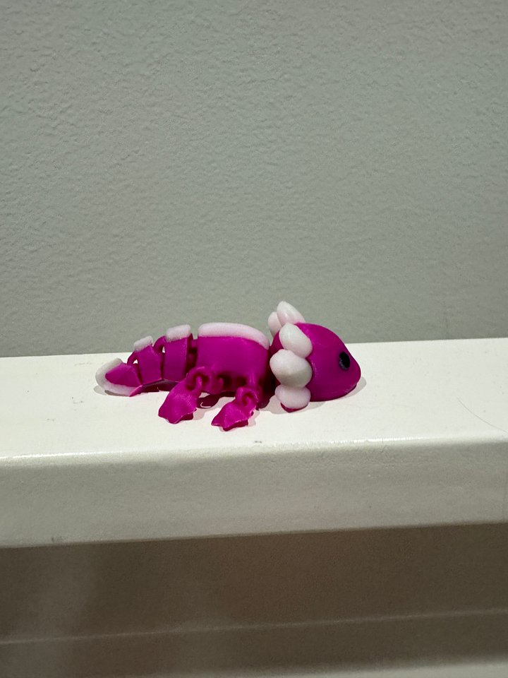 Amazing Axolotl product image (2)