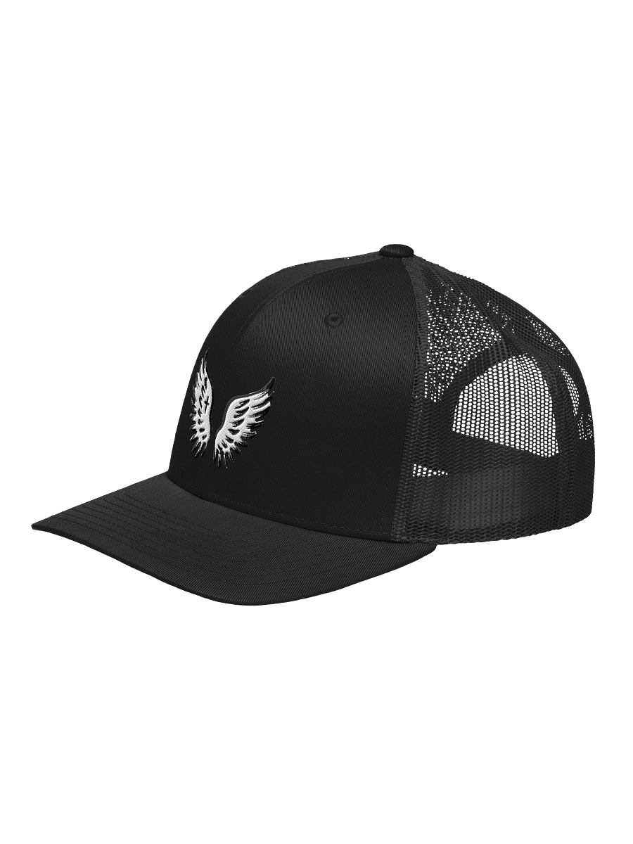 Wings of Faith Retro Hat product image (2)