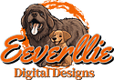 EDigital Designs