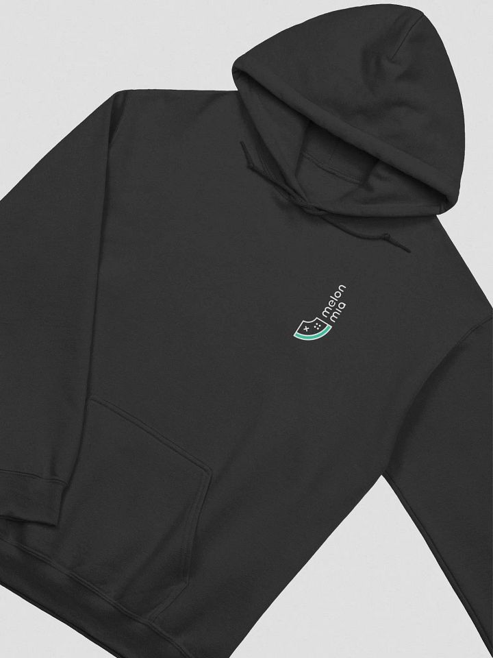 Melon Hoodie (small logo / dark) product image (1)