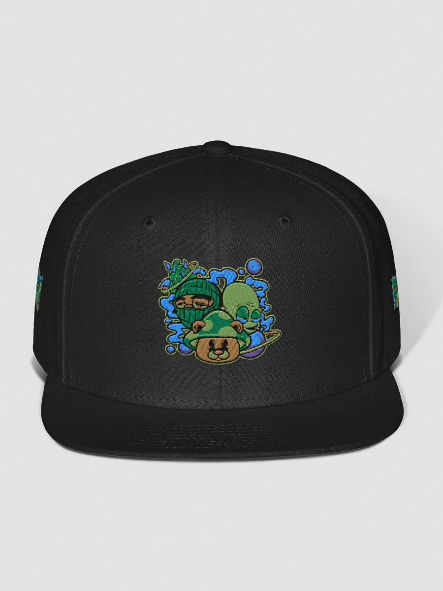 BizzWorld Drip snapback collection product image (2)