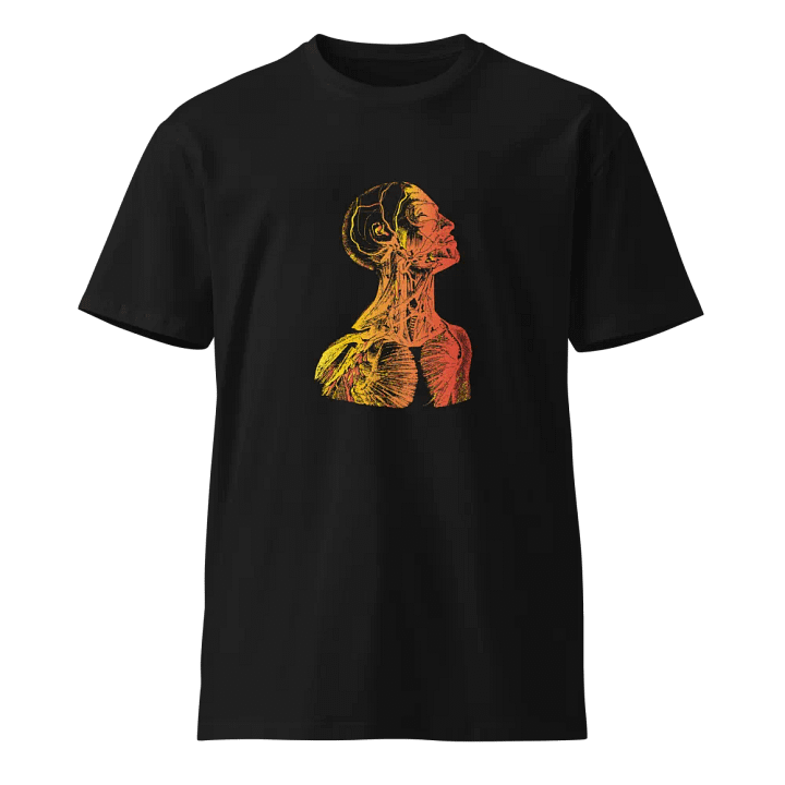 Anatomy - Head product image (1)