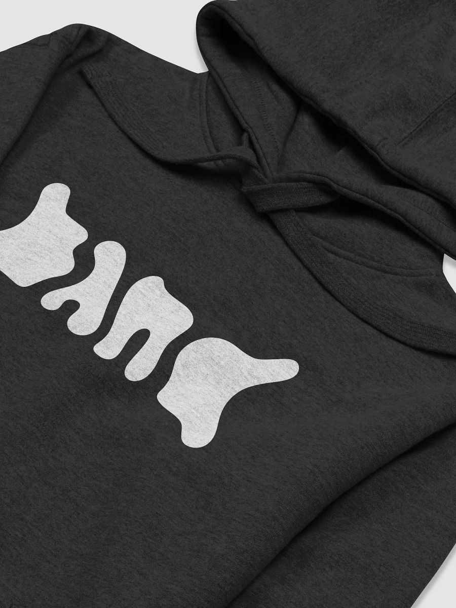 BAND Logo Hoodie Printed product image (3)