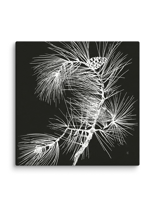 Visionary Canvas Collection - Pine Branch Dark product image (85)