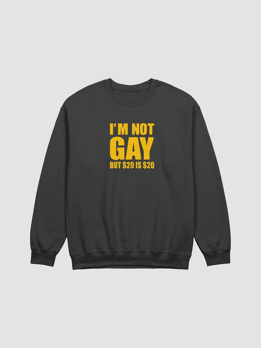 I'm Not Gay But $20 Is $20 Sweatshirt - Funny Graphic Sweatshirt for Men/Women product image (1)