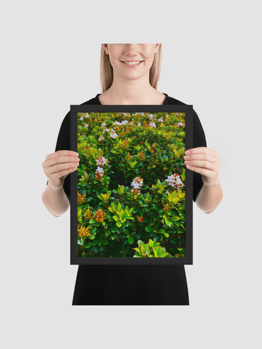 Pink flower bush Framed photography Poster product image (2)