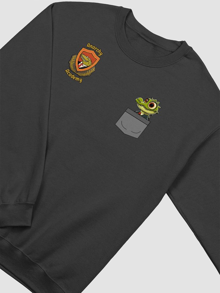 Anarchy Academy Crewneck product image (2)