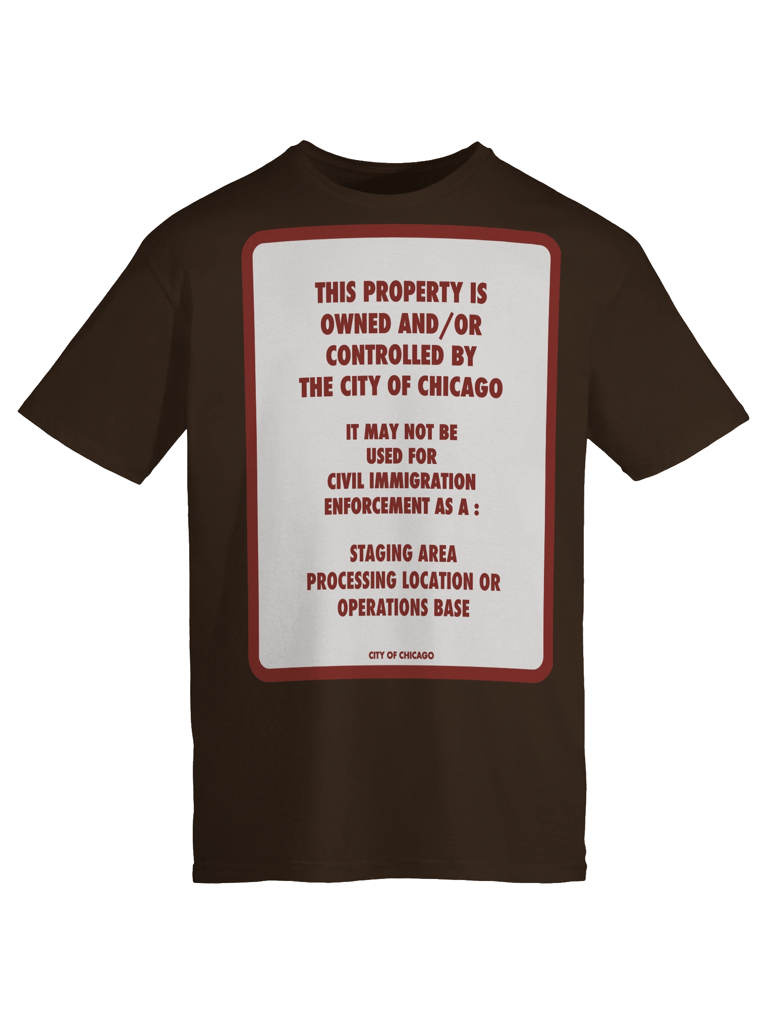The Chicago No Ice T Shirt product image (9)