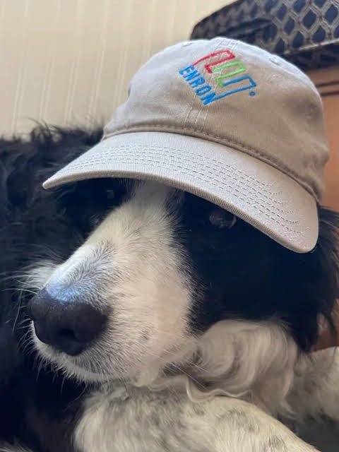 The Enron Classic (Khaki) product image (4)