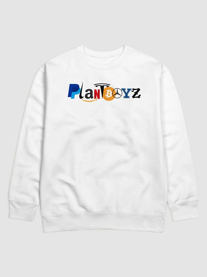 Capitalism Sweatshirt! product image (1)