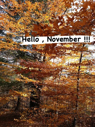 Hello , November - feeling gratitude for changes in the weather, fall colors and you! #november #newmonth #newchallenges #wee...