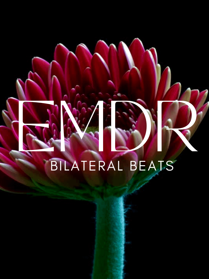 EMDR Music Download MP3 – Alpha Waves & Bilateral Beats (40 BPM) product image (1)