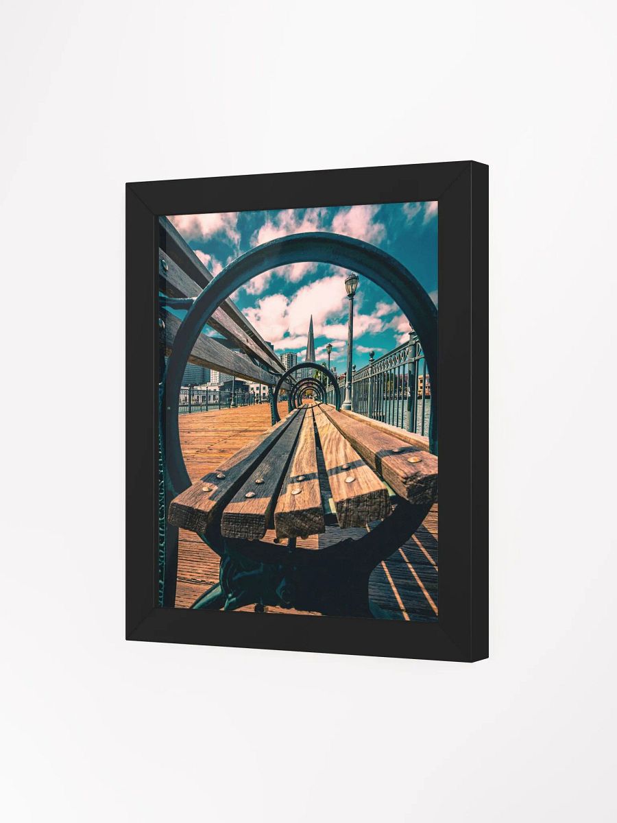 Framed - CONCENTRIC SAN FRANCISCO product image (21)
