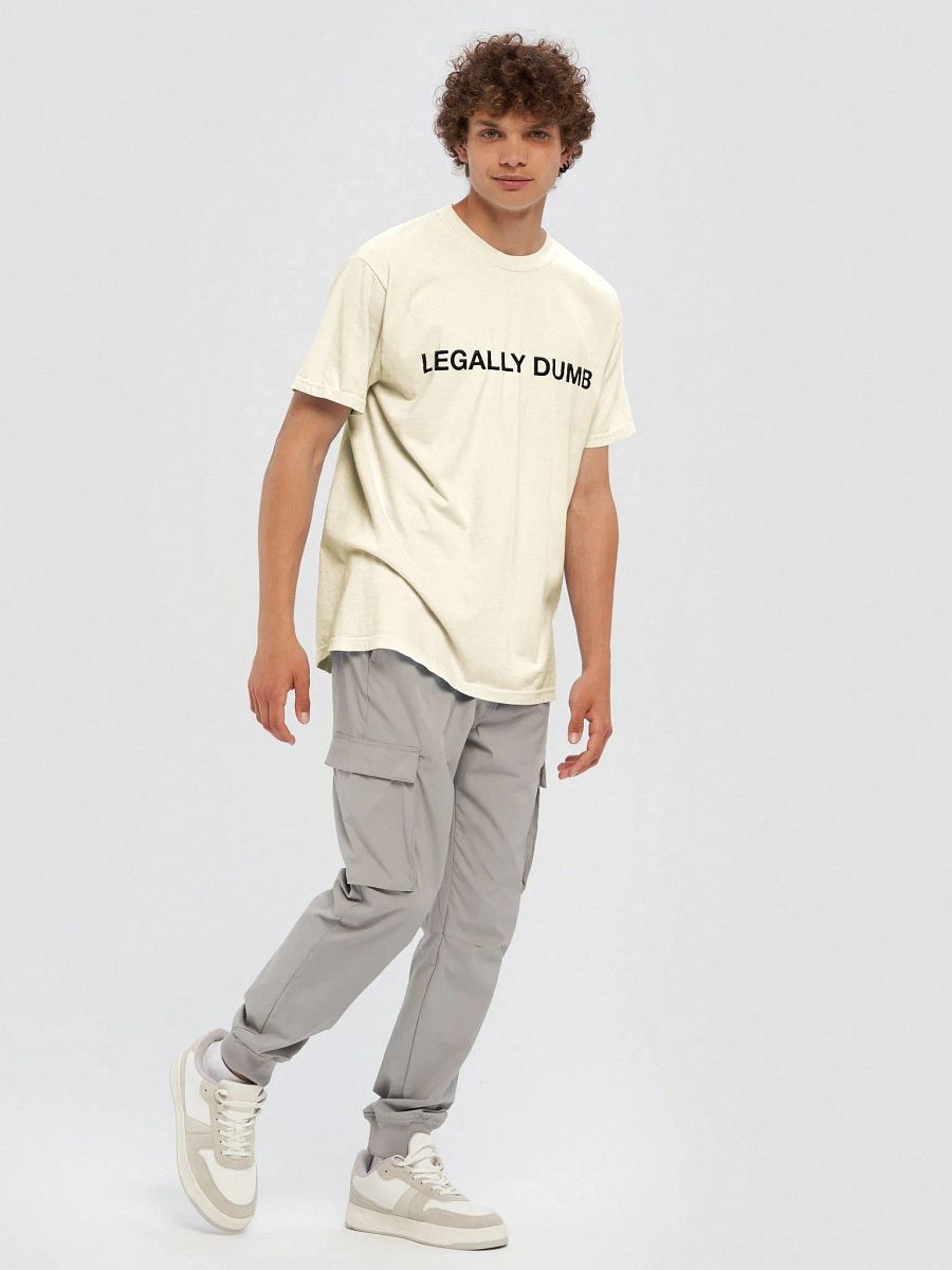 'Legally Dumb' Embroidered Tee product image (83)