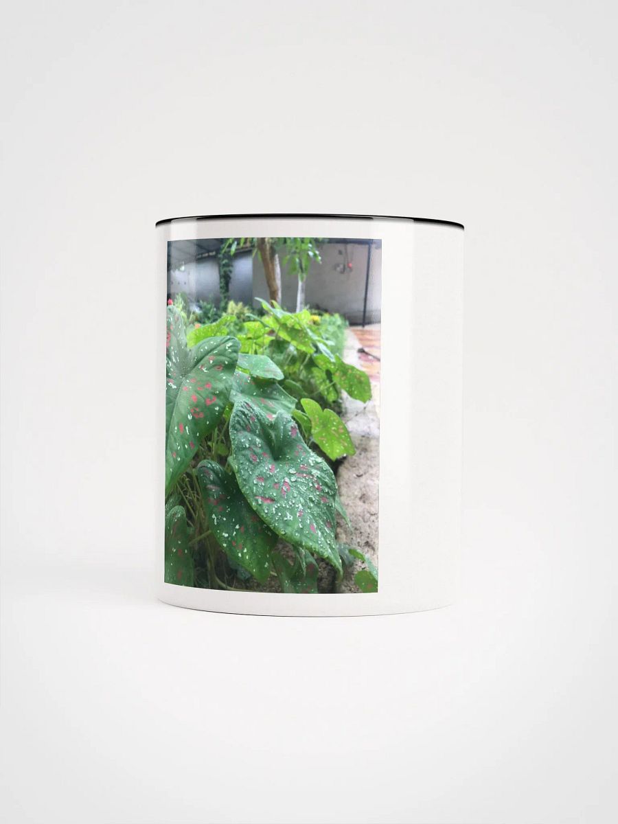 Ceramic Mug with Color Inside (leafs) product image (63)