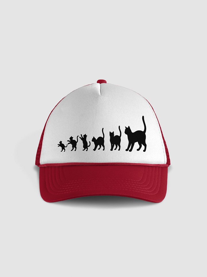 Pawsitive Progression: Feline Grace Adjustable Cap product image (1)