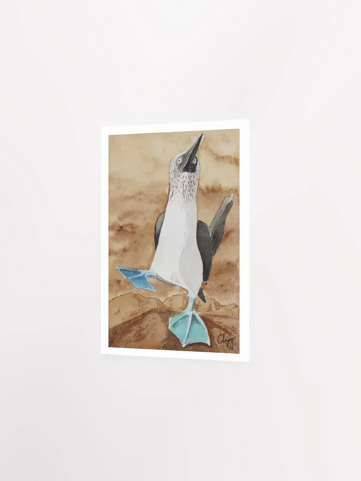 Blue Footed Booby Print product image (2)