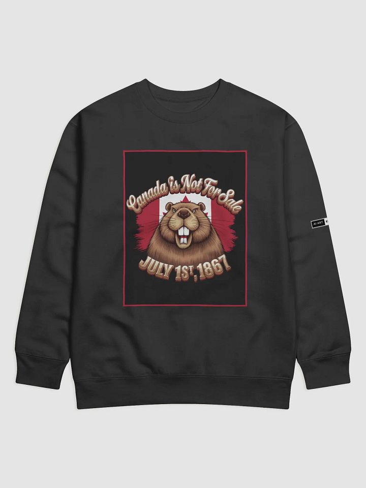 "CANADA IS NOT FOR SALE" premium cotton sweatshirt product image (1)