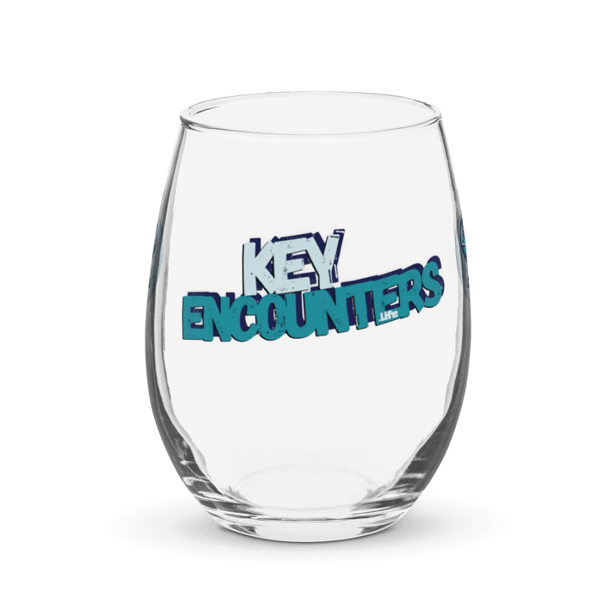 Cheers to Elegance: Key Encounters Stemless Wine Glass product image (1)