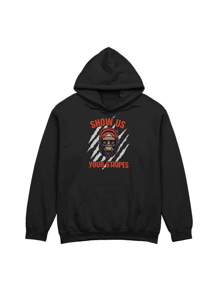 Show Us Your Stripes Hoodie product image (1)